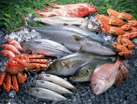 Conservation des aliments