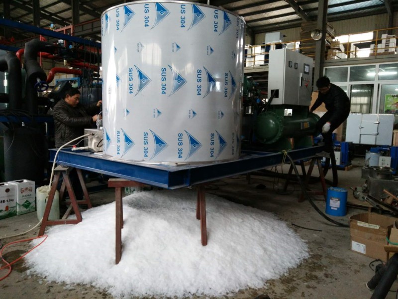 Système de machine à glace en écailles industrielle robuste de 15 tonnes